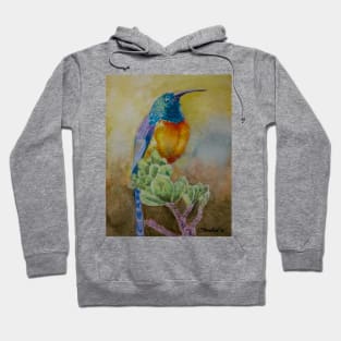 Bee Hummingbird Hoodie